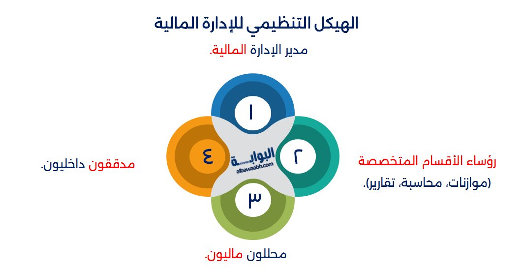 أقسام الإدارة المالية في الشركات
