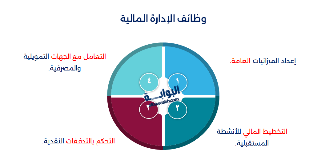 أقسام الإدارة المالية في الشركات