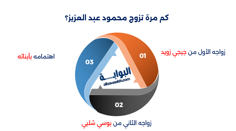 الفنان محمود عبد العزيز