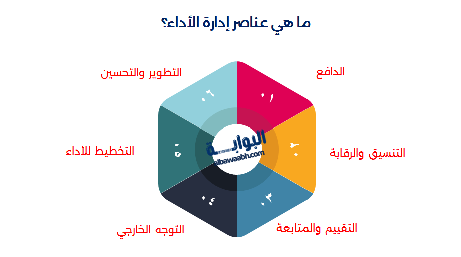 عناصر الأداء التنظيمي