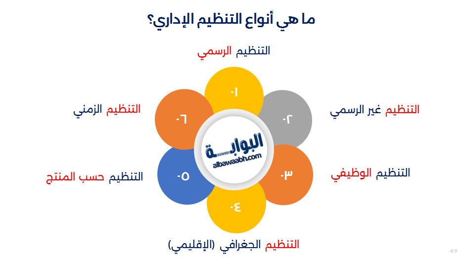 التنظيم في العمل 