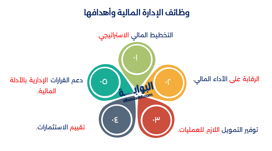 أقسام الإدارة المالية 