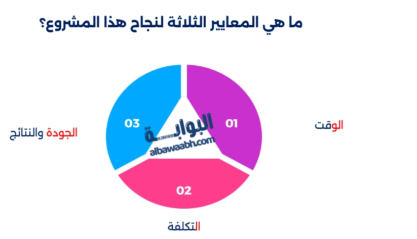 معايير نجاح المشروع