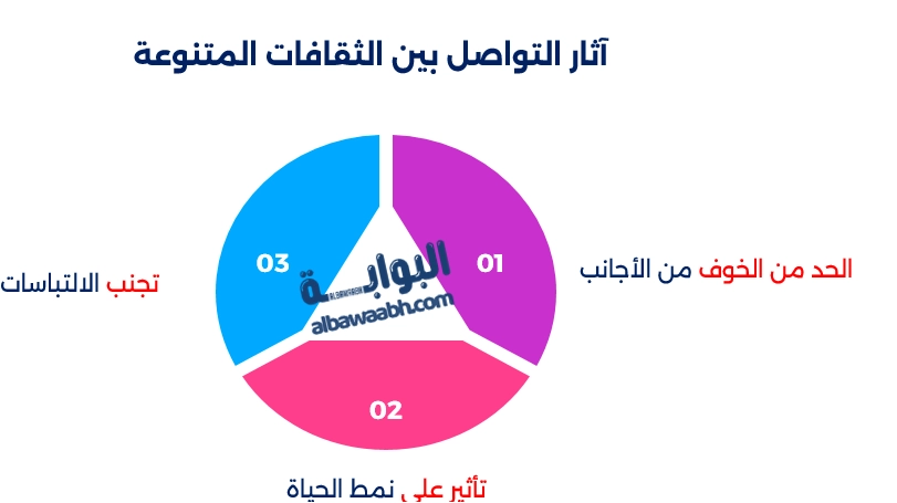 إدارة عبر الثقافات