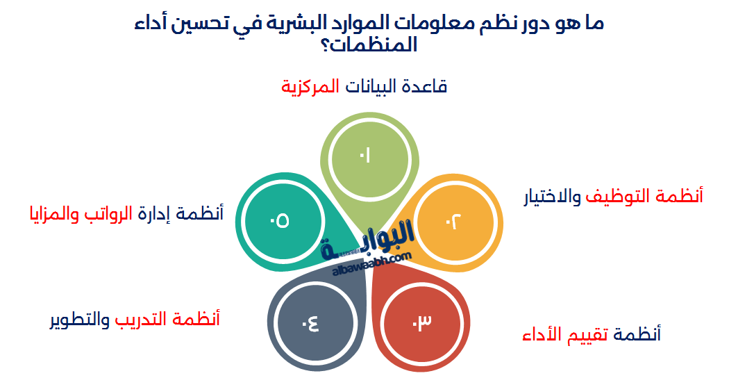 دور نظم المعلومات في ادارة الموارد البشرية