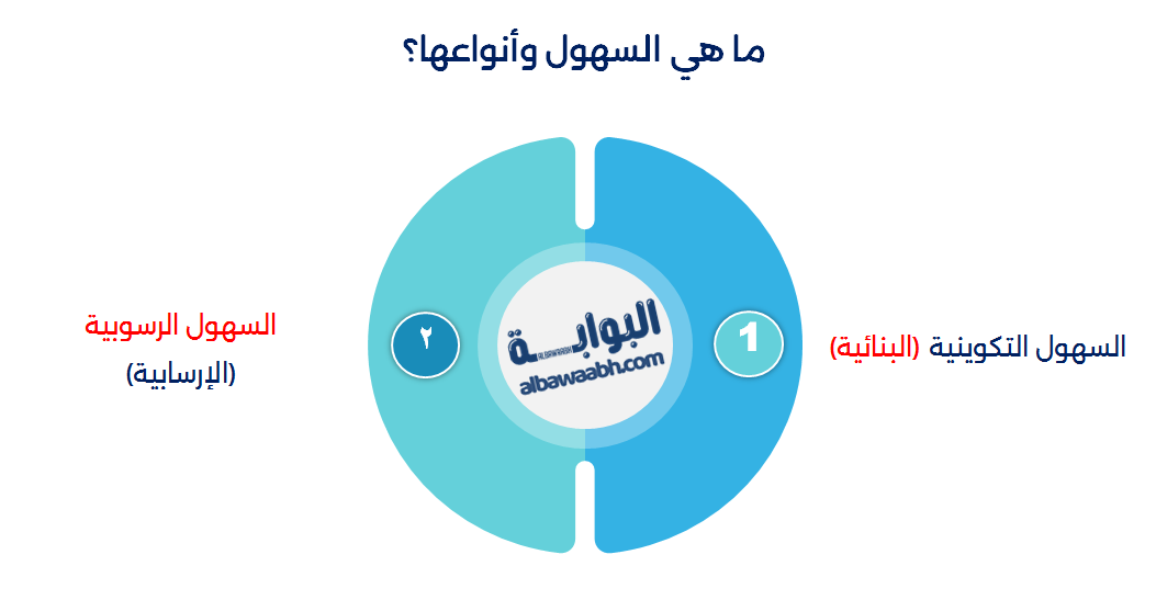 أنواع السهول