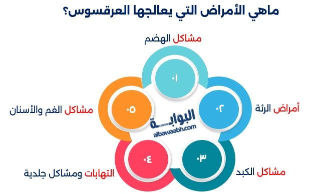 فوائد العرقسوس