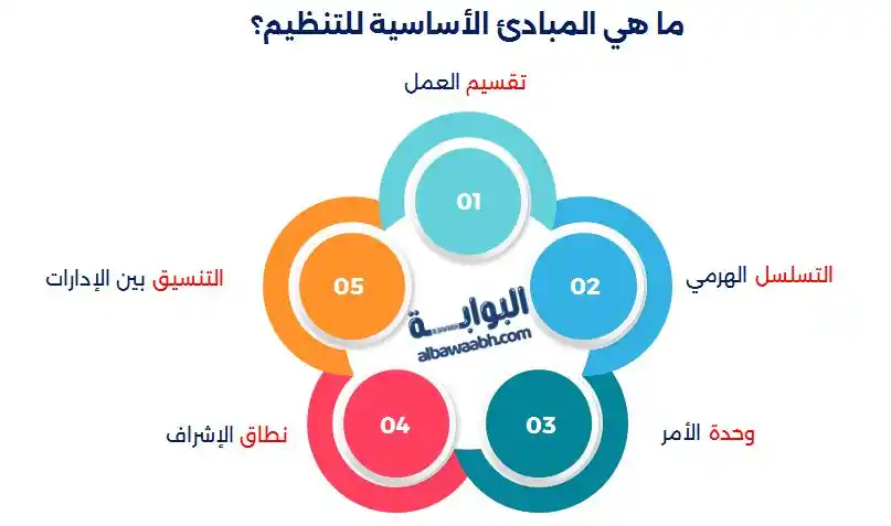 مبادئ التنظيم الجيد