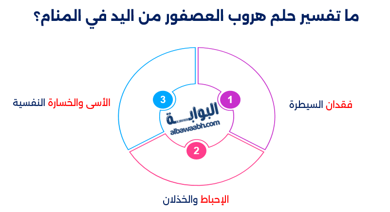 تفسير حلم هروب العصفور من اليد