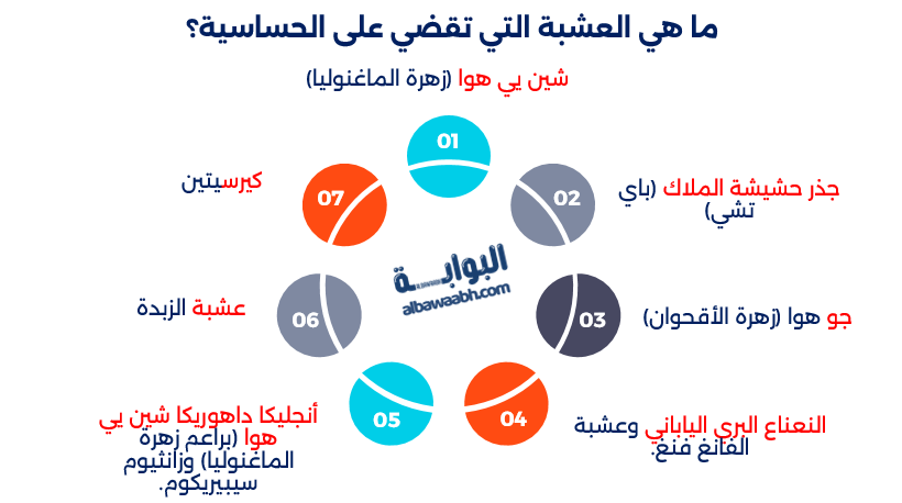 علاج الحساسية بالطب الصيني