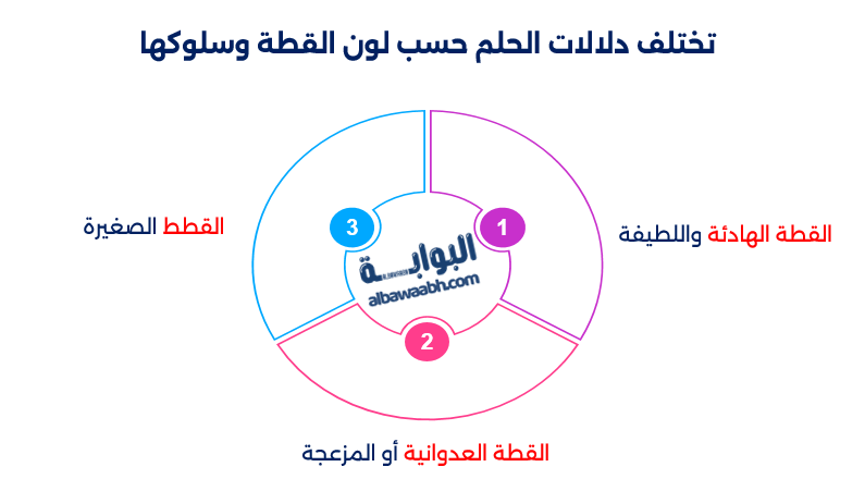 حلم القطة الرمادية