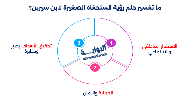 حلم رؤية السلحفاة الصغيرة