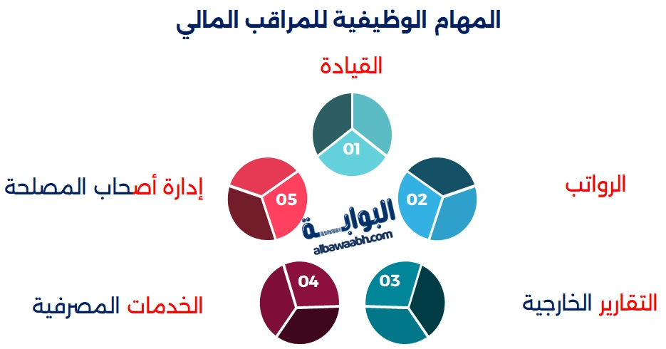 الرقابة المالية