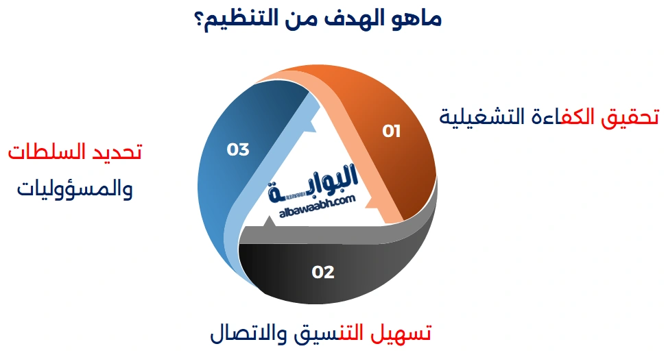 وظيفة التنظيم في الإدارة