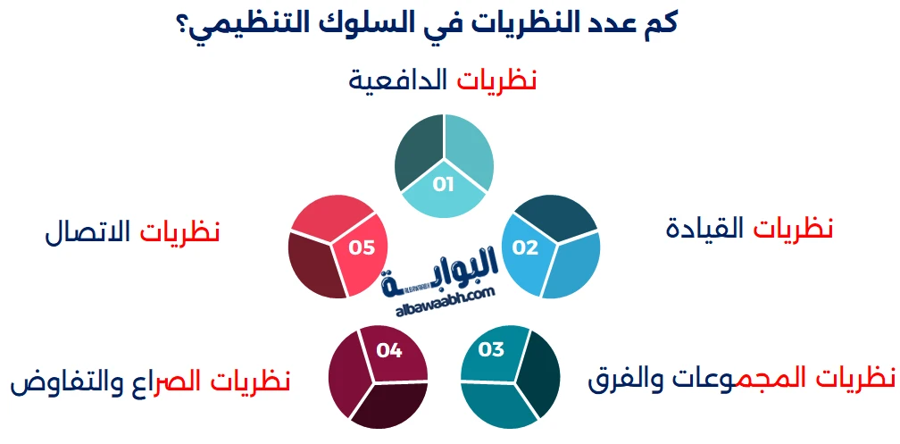 نظريات التنظيم