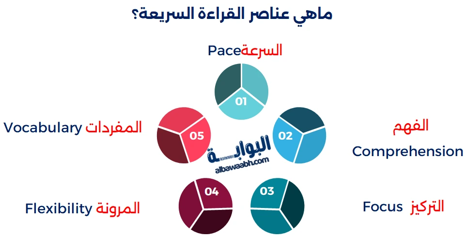 أنواع القراءة السريعة