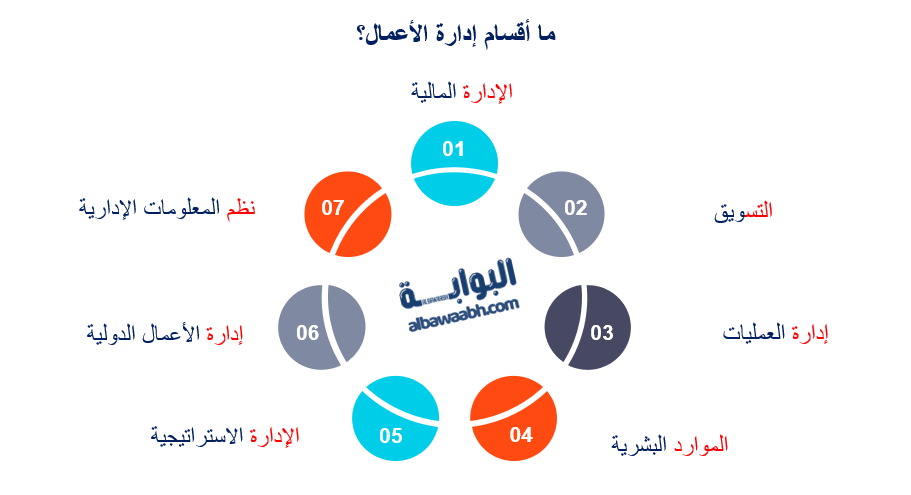 ما هي التخصصات الإدارية؟