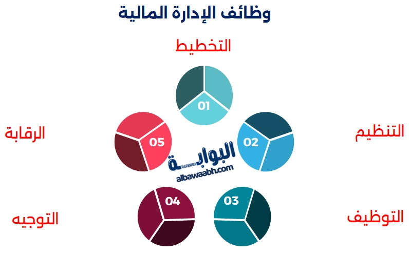 أهمية الإدارة المالية في الشركات