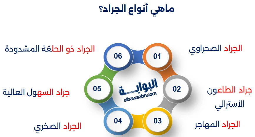 أنواع الجراد