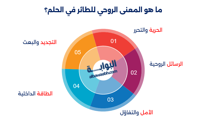 حلم تربية طائر ناطق