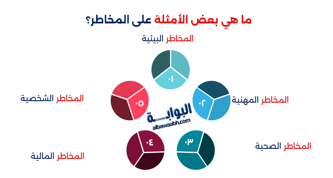 أنواع المخاطر في الشركات