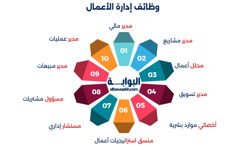 دراسة ادارة الاعمال