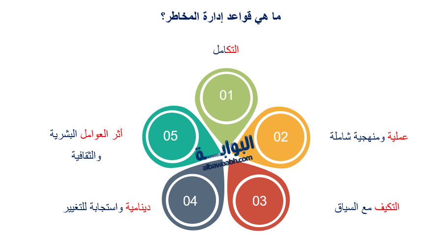 قواعد إدارة المخاطر