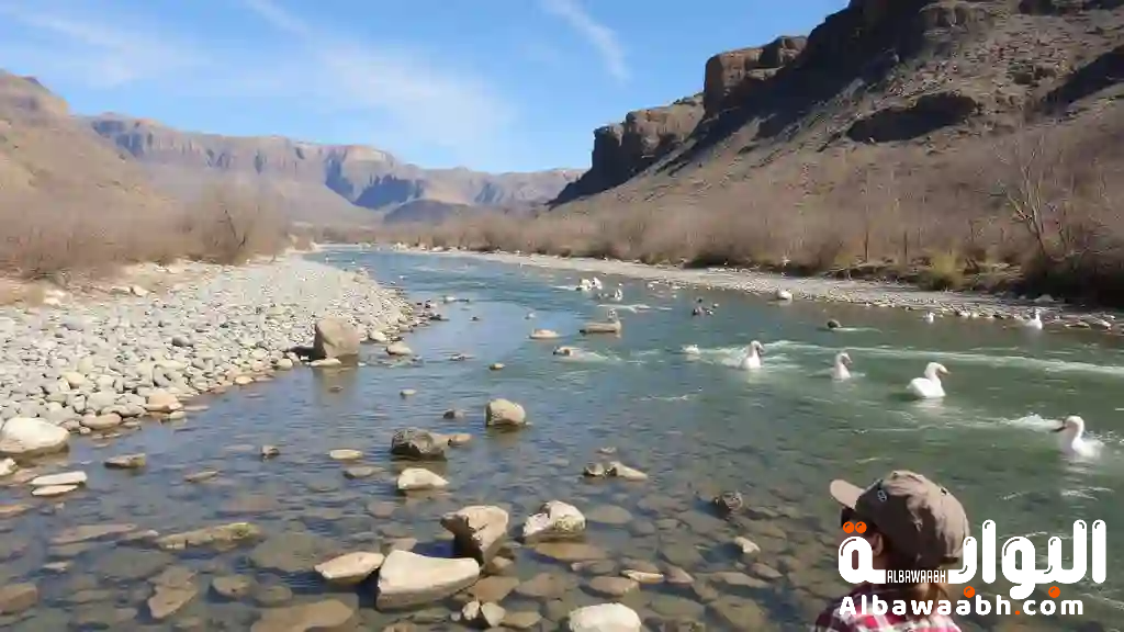 حلم النهر الجاف