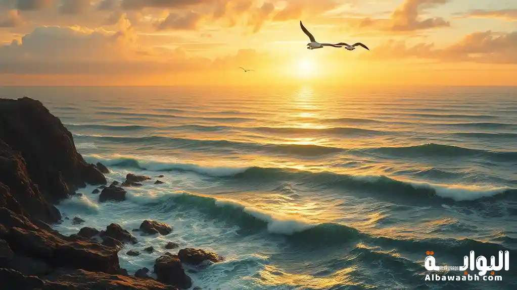 أين يوجد مجمع البحرين