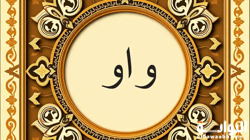 أنواع الواو في اللغة العربية