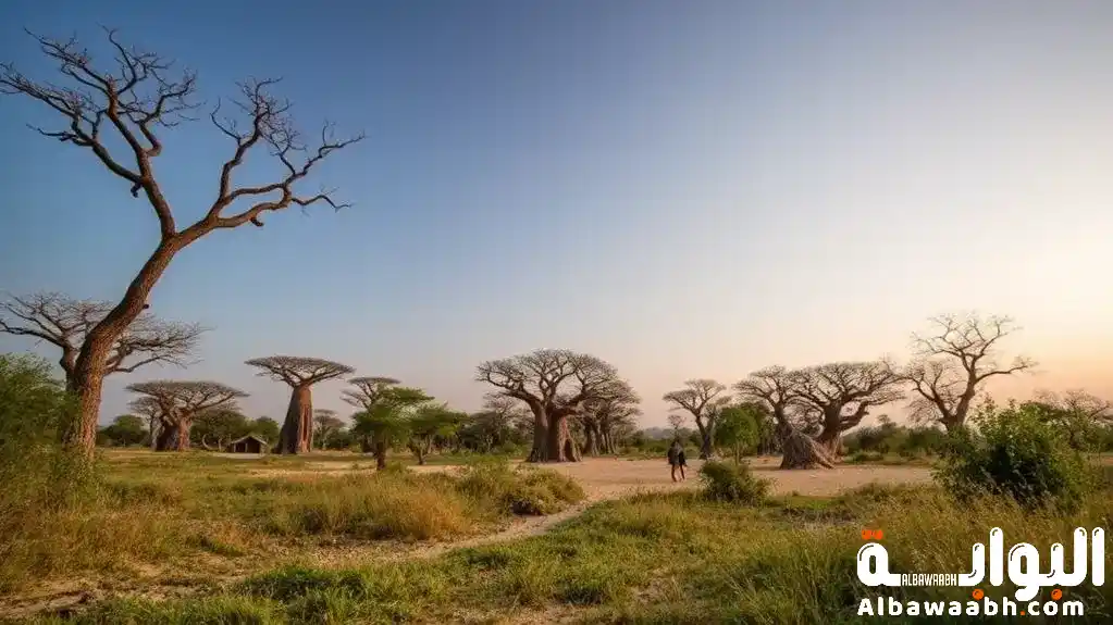 أين تقع مدغشقر