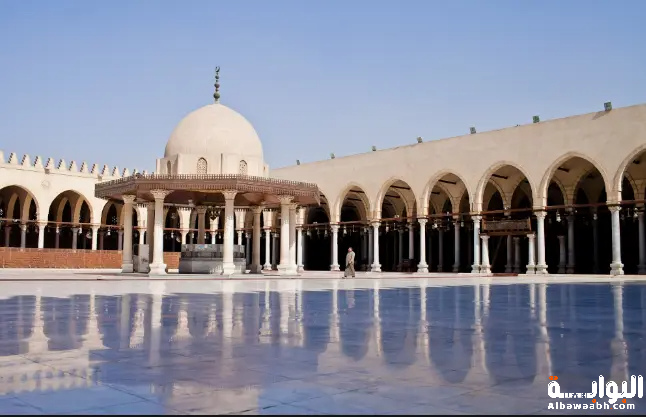 عمرو بن العاص 