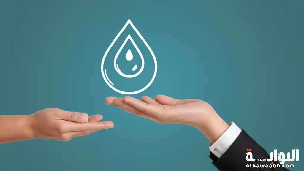 النسبة المالية المثالية