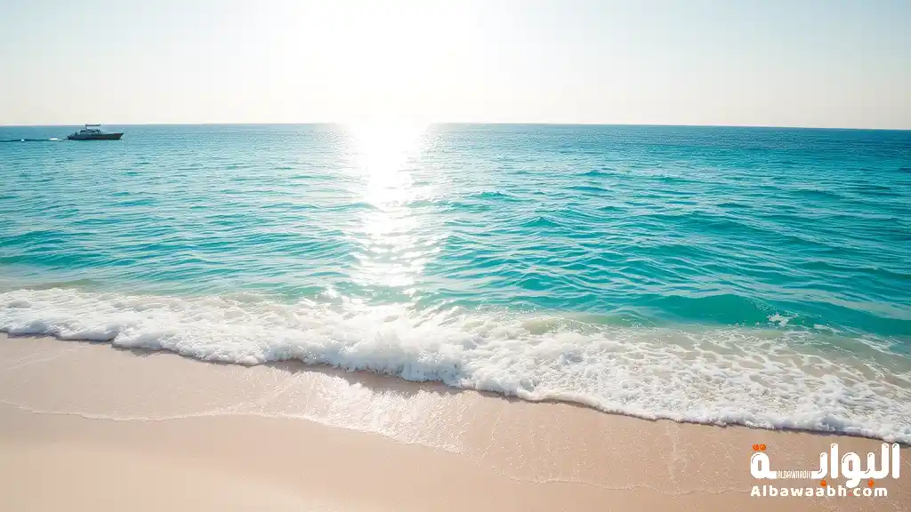 أفضل الشواطئ في تونس