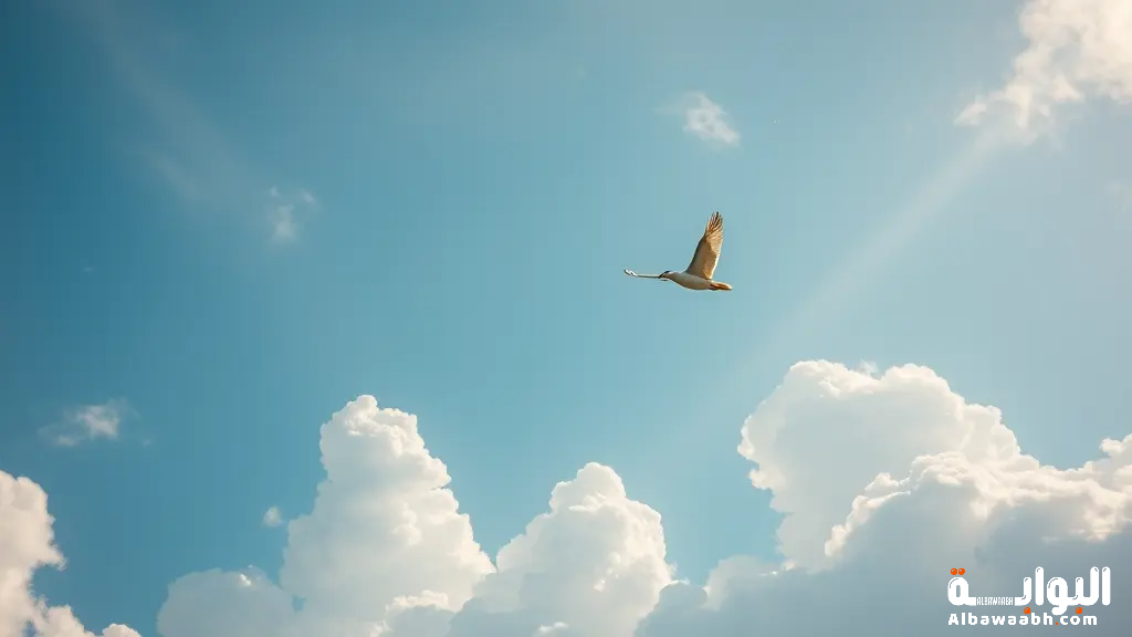 حلم السباحة في السماء