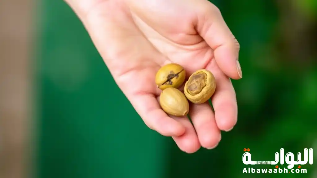 أضرار الجوز البرازيلي