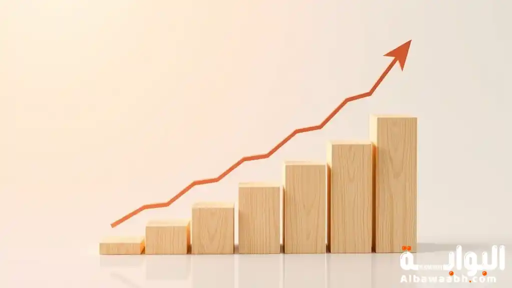 عناصر الإدارة المالية