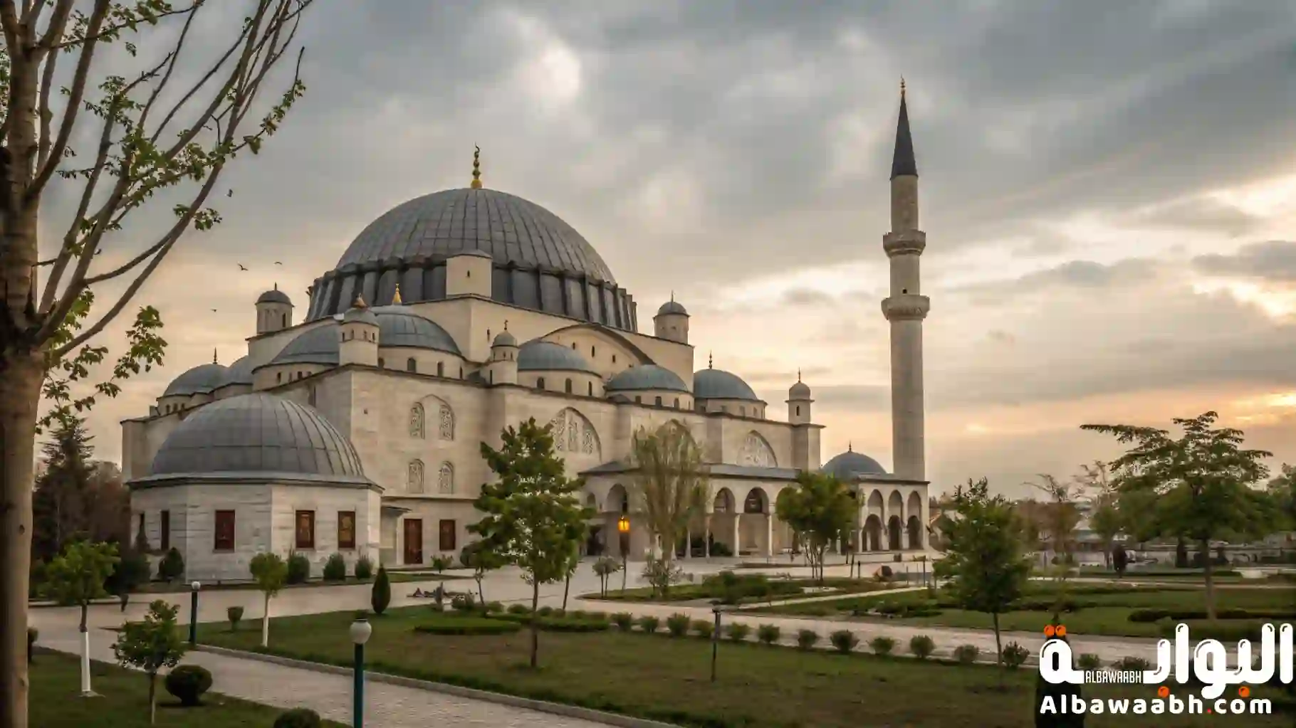 جعفر بن أبي طالب