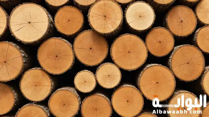 أنواع الخشب الطبيعي