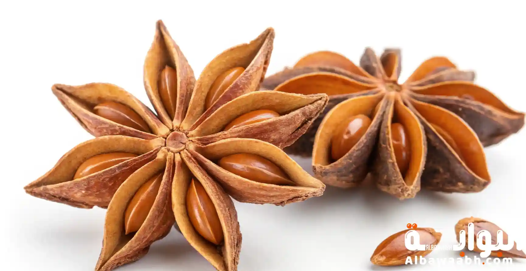أضرار نجمة اليانسون