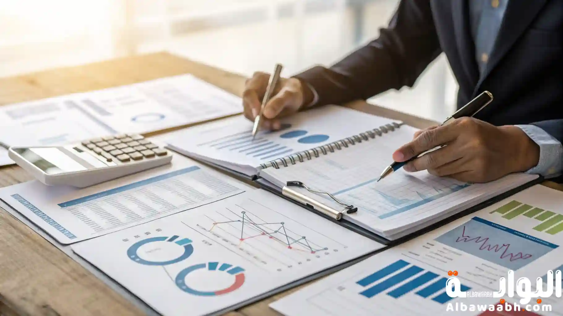 الرقابة المالية