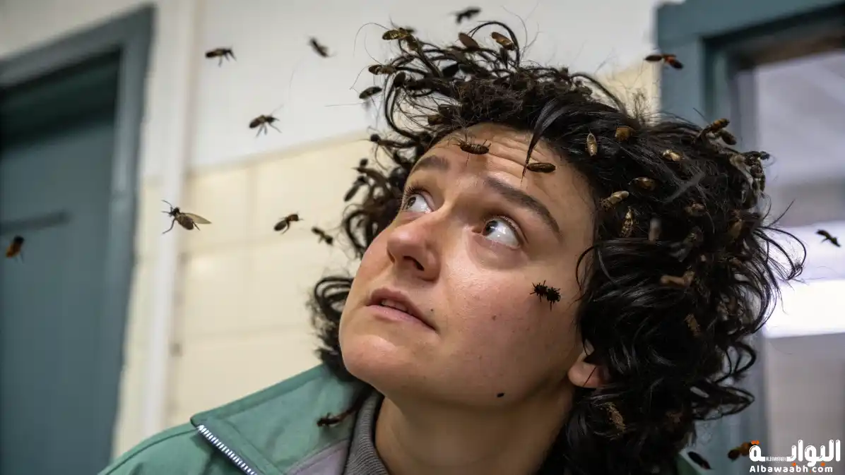 حلم الحشرات في الشعر