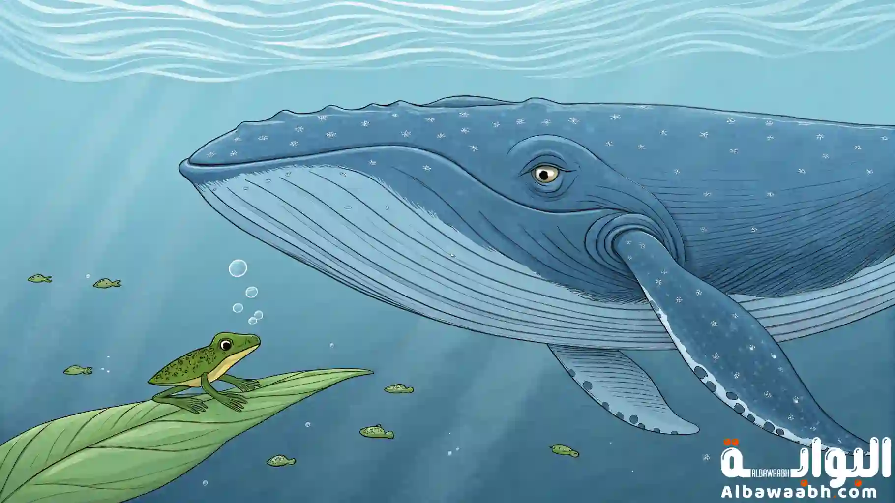 أضخم حيوان في العالم