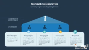 مستويات الإدارة الإستراتيجية