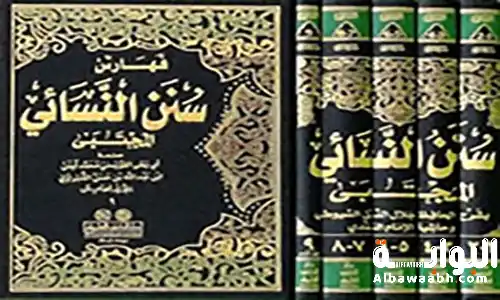 الإمام النسائي