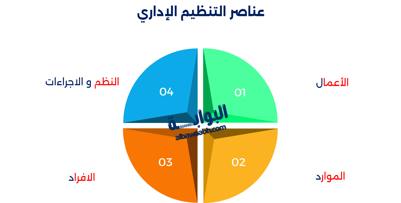أساسيات التنظيم الإداري