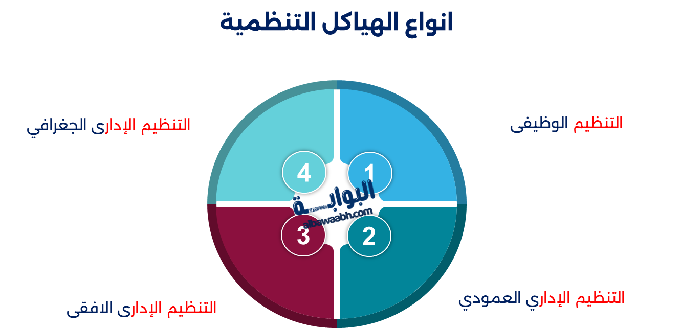 أساسيات التنظيم الإداري