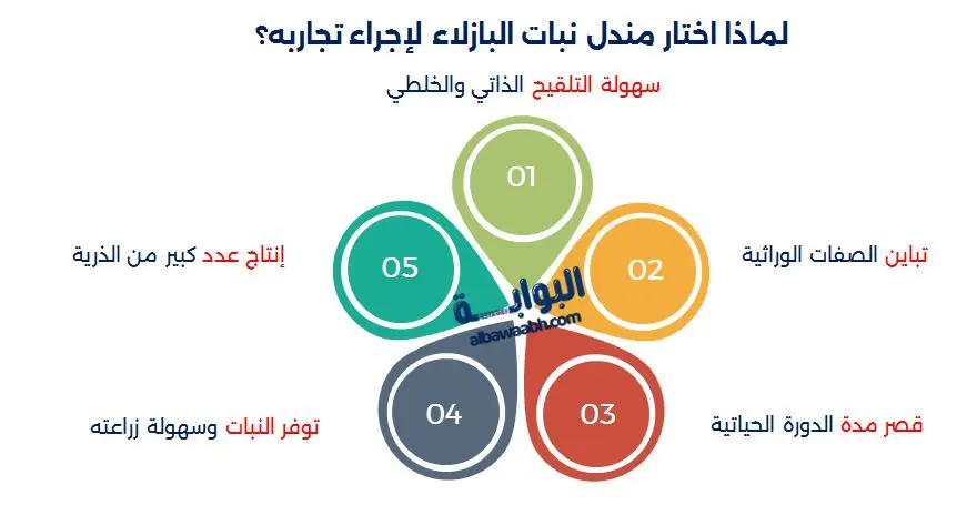 العالم غريغور مندل