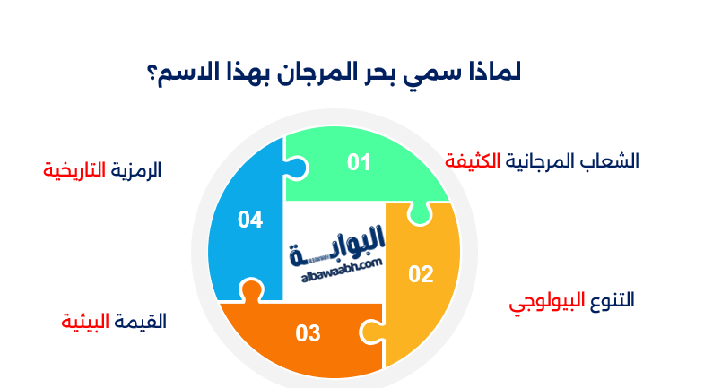 بحر المرجان
