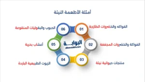 الحمية النيئة